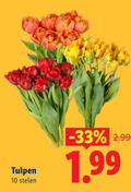 klik op dit plaatje voor een vergroting en voor vergelijkbare aanbiedingen gerelateerd aan ` tulpen 10 stelen ` tulpen 10 stelen