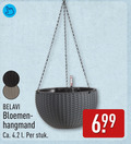 klik op dit plaatje voor een vergroting en voor vergelijkbare aanbiedingen gerelateerd aan ` belavi bloemen hangmand ca. l stuk ` belavi bloemen hangmand ca. l stuk