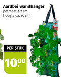 klik op dit plaatje voor een vergroting en voor vergelijkbare aanbiedingen gerelateerd aan ` aardbeienplant 7 15 1000 aardbei wandhanger potmaat cm hoogte ca. stuk ` aardbeienplant 7 15 1000 aardbei wandhanger potmaat cm hoogte ca. stuk