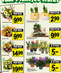 klik op dit plaatje voor een vergroting en voor vergelijkbare aanbiedingen gerelateerd aan ` 2 3 5 12 dagen veldboeket luna bos arrangement kuiken boeket kip houten plank nova bella blauwe druifjes hyacinten narcissen potmaat cm campanula franse geranium stuk 3.99 stuks ` 2 3 5 12 dagen veldboeket luna bos arrangement kuiken boeket kip houten plank nova bella blauwe druifjes hyacinten narcissen potmaat cm campanula franse geranium stuk 3.99 stuks