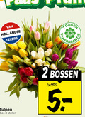 klik op dit plaatje voor een vergroting en voor vergelijkbare aanbiedingen gerelateerd aan ` tulpen 2 5 8 hollandse telers dagen bos stelen bossen ` tulpen 2 5 8 hollandse telers dagen bos stelen bossen