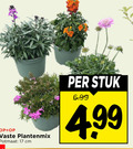 klik op dit plaatje voor een vergroting en voor vergelijkbare aanbiedingen gerelateerd aan ` tuinplanten 17 vaste plantenmix potmaat cm stuk ` tuinplanten 17 vaste plantenmix potmaat cm stuk