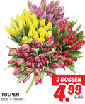 klik op dit plaatje voor een vergroting en voor vergelijkbare aanbiedingen gerelateerd aan ` tulpen 2 7 bos stelen bossen ` tulpen 2 7 bos stelen bossen