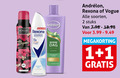 klik op dit plaatje voor een vergroting en voor vergelijkbare aanbiedingen gerelateerd aan ` shampoo deodorant 1 2 vogue elegance all day rexona advanced protection 72h heal cotton dry down dag soorten stuks megakorting ` shampoo deodorant 1 2 vogue elegance all day rexona advanced protection 72h heal cotton dry down dag soorten stuks megakorting