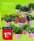klik op dit plaatje voor een vergroting en voor vergelijkbare aanbiedingen gerelateerd aan ` petunia calibrachoa 12 15 blooming joy mix mono trio potmaat cm hoogte ca. stuk ` petunia calibrachoa 12 15 blooming joy mix mono trio potmaat cm hoogte ca. stuk
