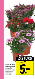 klik op dit plaatje voor een vergroting en voor vergelijkbare aanbiedingen gerelateerd aan ` perkplanten fuchsia geranium 3 mix perkgoed anjer margriet potmaat 10 5 cm stuks ` perkplanten fuchsia geranium 3 mix perkgoed anjer margriet potmaat 10 5 cm stuks
