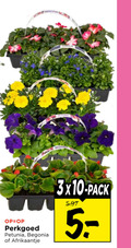 klik op dit plaatje voor een vergroting en voor vergelijkbare aanbiedingen gerelateerd aan ` perkgoed petunia begonia afrikaantje pack ` perkgoed petunia begonia afrikaantje pack