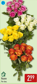 klik op dit plaatje voor een vergroting en voor vergelijkbare aanbiedingen gerelateerd aan ` rozen bos ` rozen bos