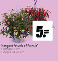 klik op dit plaatje voor een vergroting en voor vergelijkbare aanbiedingen gerelateerd aan ` 5 hangpot petunia fuchsia potmaat cm hoogte ` 5 hangpot petunia fuchsia potmaat cm hoogte