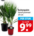 klik op dit plaatje voor een vergroting en voor vergelijkbare aanbiedingen gerelateerd aan ` tuinplanten 19 potmaat cm stuk ` tuinplanten 19 potmaat cm stuk