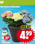 klik op dit plaatje voor een vergroting en voor vergelijkbare aanbiedingen gerelateerd aan ` tuinhortensia 2 14 35 hortensia bloempot potmaat cm hoog kinzo liter elders druksproeier zoek ` tuinhortensia 2 14 35 hortensia bloempot potmaat cm hoog kinzo liter elders druksproeier zoek