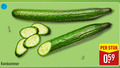 klik op dit plaatje voor een vergroting en voor vergelijkbare aanbiedingen gerelateerd aan ` komkommer stuk ` komkommer stuk