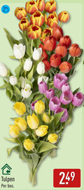 klik op dit plaatje voor een vergroting en voor vergelijkbare aanbiedingen gerelateerd aan ` tulpen bos ` tulpen bos