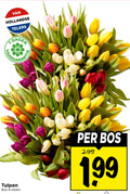 klik op dit plaatje voor een vergroting en voor vergelijkbare aanbiedingen gerelateerd aan ` tulpen 8 hollandse telers dagen bos stelen ` tulpen 8 hollandse telers dagen bos stelen