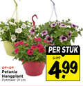 klik op dit plaatje voor een vergroting en voor vergelijkbare aanbiedingen gerelateerd aan ` petunia hangplant potmaat cm stuk ` petunia hangplant potmaat cm stuk