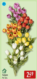klik op dit plaatje voor een vergroting en voor vergelijkbare aanbiedingen gerelateerd aan ` tulpen bos ` tulpen bos