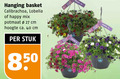 klik op dit plaatje voor een vergroting en voor vergelijkbare aanbiedingen gerelateerd aan ` 27 40 hanging basket calibrachoa happy mix potmaat cm hoogte ca. stuk ` 27 40 hanging basket calibrachoa happy mix potmaat cm hoogte ca. stuk