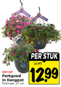 klik op dit plaatje voor een vergroting en voor vergelijkbare aanbiedingen gerelateerd aan ` perkplanten 27 perkgoed hangpot potmaat cm stuk ` perkplanten 27 perkgoed hangpot potmaat cm stuk