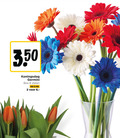 klik op dit plaatje voor een vergroting en voor vergelijkbare aanbiedingen gerelateerd aan ` germini 2 8 3 50 koningsdag bos stelen mix ` germini 2 8 3 50 koningsdag bos stelen mix