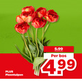 klik op dit plaatje voor een vergroting en voor vergelijkbare aanbiedingen gerelateerd aan ` tulpen 5.99 pioentulpen bos ` tulpen 5.99 pioentulpen bos