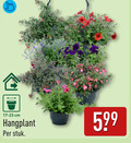 klik op dit plaatje voor een vergroting en voor vergelijkbare aanbiedingen gerelateerd aan ` tuinplanten cm hangplant stuk ` tuinplanten cm hangplant stuk