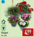klik op dit plaatje voor een vergroting en voor vergelijkbare aanbiedingen gerelateerd aan ` 25 cm hangpot stuk ` 25 cm hangpot stuk