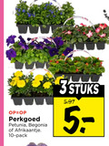 klik op dit plaatje voor een vergroting en voor vergelijkbare aanbiedingen gerelateerd aan ` 10 perkgoed petunia begonia afrikaantje pack 3stuks ` 10 perkgoed petunia begonia afrikaantje pack 3stuks