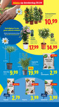klik op dit plaatje voor een vergroting en voor vergelijkbare aanbiedingen gerelateerd aan ` 1 3 10 17 19 20 23 40 80 winkels bekijk www.lidl.nl thunbergia klimplant bloeit voorjaar potmaat cm hoogte ca. bonte wilg clematis kleuren pot oleander boompje xxl woekerend bio moestuin grond volle bak turf liter moestuingrond premium binnen buitenplanten hydro korrels planten potgrond 3.99 hydrokorrels ` 1 3 10 17 19 20 23 40 80 winkels bekijk www.lidl.nl thunbergia klimplant bloeit voorjaar potmaat cm hoogte ca. bonte wilg clematis kleuren pot oleander boompje xxl woekerend bio moestuin grond volle bak turf liter moestuingrond premium binnen buitenplanten hydro korrels planten potgrond 3.99 hydrokorrels