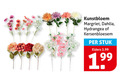 klik op dit plaatje voor een vergroting en voor vergelijkbare aanbiedingen gerelateerd aan ` kunstbloem margriet dahlia hydrangea kersenbloesem stuk elders 3.99 ` kunstbloem margriet dahlia hydrangea kersenbloesem stuk elders 3.99