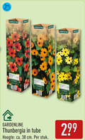 klik op dit plaatje voor een vergroting en voor vergelijkbare aanbiedingen gerelateerd aan ` gardenline 2 99 00 thunbergia tube hoogte ca. cm stuk ` gardenline 2 99 00 thunbergia tube hoogte ca. cm stuk