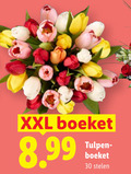 klik op dit plaatje voor een vergroting en voor vergelijkbare aanbiedingen gerelateerd aan ` 30 xxl boeket tulpen stelen ` 30 xxl boeket tulpen stelen