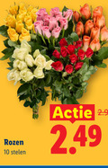 klik op dit plaatje voor een vergroting en voor vergelijkbare aanbiedingen gerelateerd aan ` 10 rozen stelen ` 10 rozen stelen