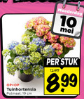 klik op dit plaatje voor een vergroting en voor vergelijkbare aanbiedingen gerelateerd aan ` 10 19 moederdag tuinhortensia potmaat cm stuk ` 10 19 moederdag tuinhortensia potmaat cm stuk