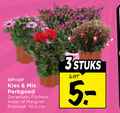 klik op dit plaatje voor een vergroting en voor vergelijkbare aanbiedingen gerelateerd aan ` mix perkgoed geranium fuchsia anjer margriet potmaat 10 5 cm 3stuks ` mix perkgoed geranium fuchsia anjer margriet potmaat 10 5 cm 3stuks