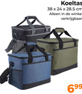 klik op dit plaatje voor een vergroting en voor vergelijkbare aanbiedingen gerelateerd aan ` koeltas 24 cm ` koeltas 24 cm