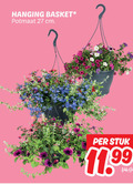 klik op dit plaatje voor een vergroting en voor vergelijkbare aanbiedingen gerelateerd aan ` 27 hanging basket potmaat cm stuk ` 27 hanging basket potmaat cm stuk