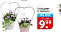 klik op dit plaatje voor een vergroting en voor vergelijkbare aanbiedingen gerelateerd aan ` tuinplanten stuk ` tuinplanten stuk