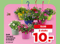 klik op dit plaatje voor een vergroting en voor vergelijkbare aanbiedingen gerelateerd aan ` 2 terraspot perkplant hangpot potmaat cm stuk stuks ` 2 terraspot perkplant hangpot potmaat cm stuk stuks