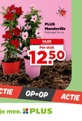 klik op dit plaatje voor een vergroting en voor vergelijkbare aanbiedingen gerelateerd aan ` tuinplanten 19 potmaat cm stuk ` tuinplanten 19 potmaat cm stuk