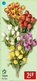 klik op dit plaatje voor een vergroting en voor vergelijkbare aanbiedingen gerelateerd aan ` tulpen bos ` tulpen bos