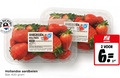 klik op dit plaatje voor een vergroting en voor vergelijkbare aanbiedingen gerelateerd aan ` aardbeien 2 6 7 12 400 nederland hollands jumbo ge klasse planet proof gekoeld verpakt supermarkten b.v. antwoordnummer oorsprong nl inspire hollandse bak ` aardbeien 2 6 7 12 400 nederland hollands jumbo ge klasse planet proof gekoeld verpakt supermarkten b.v. antwoordnummer oorsprong nl inspire hollandse bak
