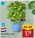 klik op dit plaatje voor een vergroting en voor vergelijkbare aanbiedingen gerelateerd aan ` kruidenplanten to planet proof basilicum pot ` kruidenplanten to planet proof basilicum pot
