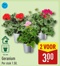 klik op dit plaatje voor een vergroting en voor vergelijkbare aanbiedingen gerelateerd aan ` geranium 2 12 300 cm stuk ` geranium 2 12 300 cm stuk