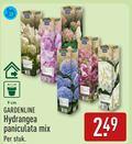 klik op dit plaatje voor een vergroting en voor vergelijkbare aanbiedingen gerelateerd aan ` tuinhortensia 1 9 7005 gardenline garden cm hydrangea paniculata mix stuk ` tuinhortensia 1 9 7005 gardenline garden cm hydrangea paniculata mix stuk