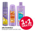 klik op dit plaatje voor een vergroting en voor vergelijkbare aanbiedingen gerelateerd aan ` shampoo 1 volume oil care varieeren ` shampoo 1 volume oil care varieeren
