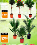 klik op dit plaatje voor een vergroting en voor vergelijkbare aanbiedingen gerelateerd aan ` stammen mix potmaat cm hoogte ca. pot regionale supermarkt supermarkten ` stammen mix potmaat cm hoogte ca. pot regionale supermarkt supermarkten