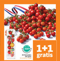 klik op dit plaatje voor een vergroting en voor vergelijkbare aanbiedingen gerelateerd aan ` cherry tomaten 1 100 250 salade ovengerecht bite friszoet nutri score land nederland mad beter natuur boer actieprijs ` cherry tomaten 1 100 250 salade ovengerecht bite friszoet nutri score land nederland mad beter natuur boer actieprijs