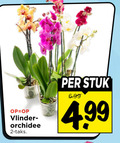 klik op dit plaatje voor een vergroting en voor vergelijkbare aanbiedingen gerelateerd aan ` 2 vlinder orchidee stuk ` 2 vlinder orchidee stuk