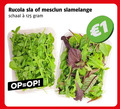 klik op dit plaatje voor een vergroting en voor vergelijkbare aanbiedingen gerelateerd aan ` 1 rucola sla mesclun slamelange schaal ` 1 rucola sla mesclun slamelange schaal
