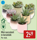 klik op dit plaatje voor een vergroting en voor vergelijkbare aanbiedingen gerelateerd aan ` vetplant 7 cm mini keramiek stuk ` vetplant 7 cm mini keramiek stuk